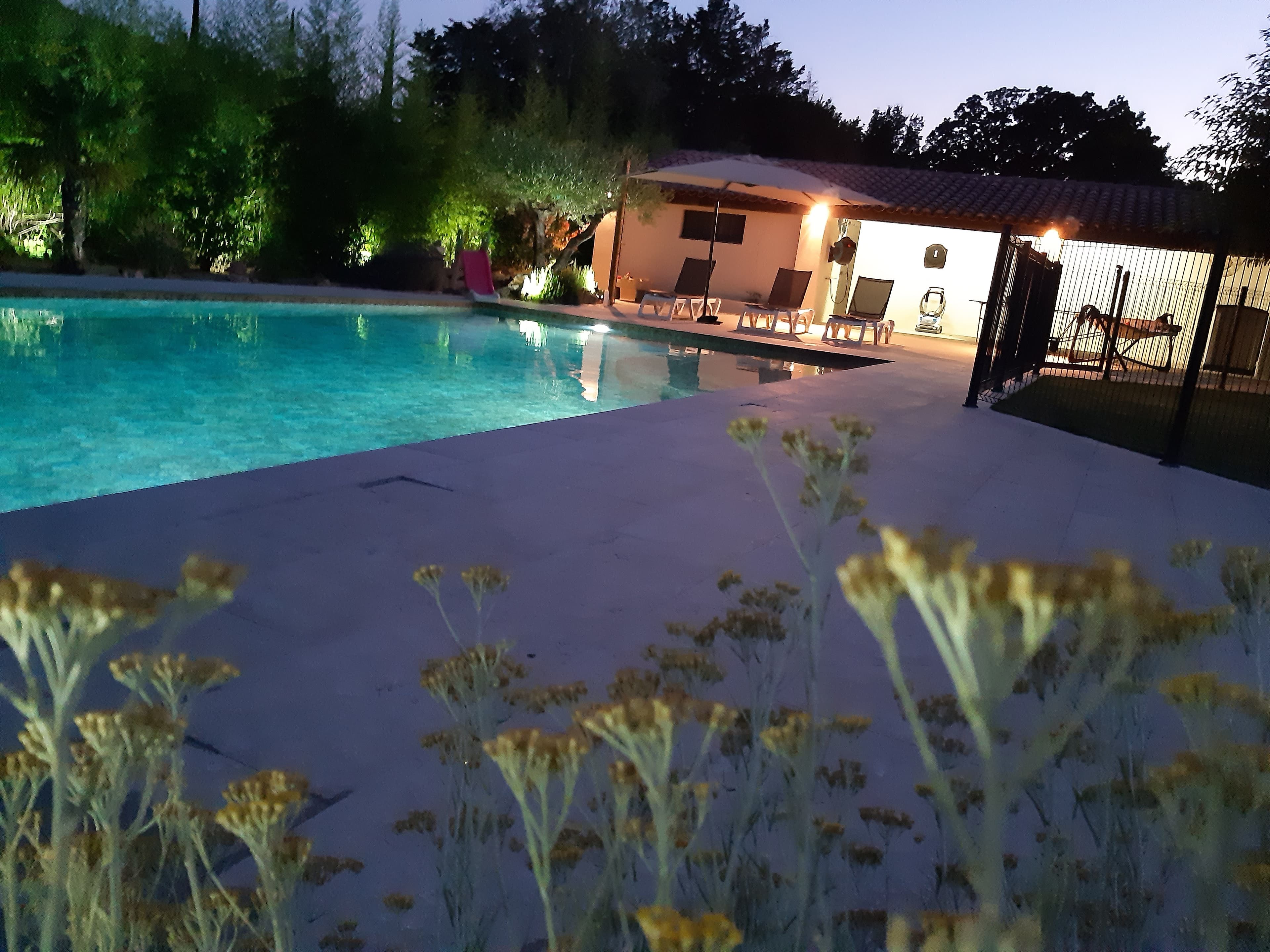 Piscine et pool house en soirée